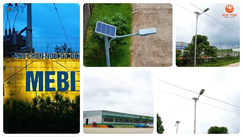 Dựa án đèn năng lượng mặt trời Mebi Farm của DAT Group
