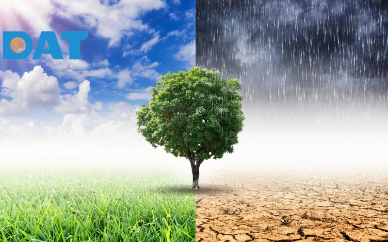 Biến đổi khí hậu gây ảnh hưởng lớn đến hệ thống điện mặt trời, làm giảm hiệu suất hoạt động