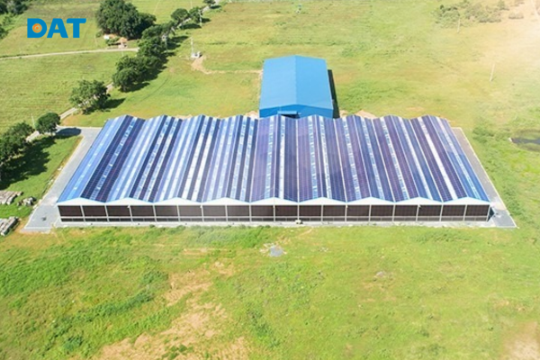 Các dự án năng lượng mặt trời đầu tiên đánh dấu bước phát triển quan trọng tại Việt Nam