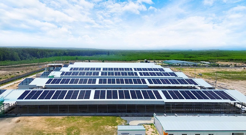 Hệ thống điện mặt trời DAT triển khai tại Mebi Farm có tổng công suất ~ 1142.7 kWp