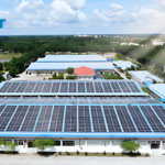 The rise of solar energy in Vietnam: Opportunities & challenges
