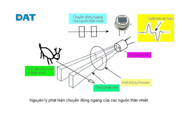 cấu tạo module cảm biến chuyển động PIR và ống kính Fresnel