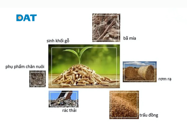 Minh họa các dạng năng lượng sinh khối: gỗ và trấu, ethanol, biodiesel, biogas và nhiệt sinh học.