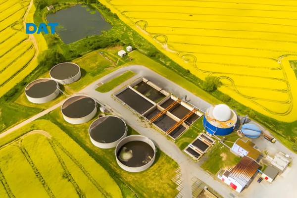 Nhược điểm của năng lượng sinh khối: hiệu suất thấp, chi phí cao, ảnh hưởng đất nông nghiệp và khó khăn vận chuyển.
