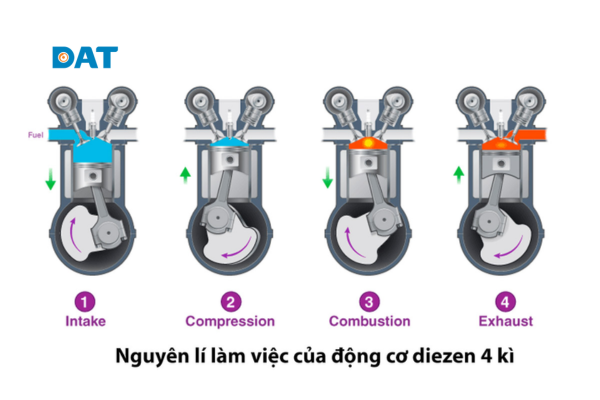 Minh họa 4 kỳ hoạt động Nạp, Nén, Nổ, Xả của động cơ diesel 4 kỳ.