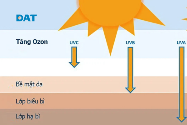 Tác hại của tia UVC và UVA thể hiện rõ qua sự khác biệt về màu sắc và độ đàn hồi của da