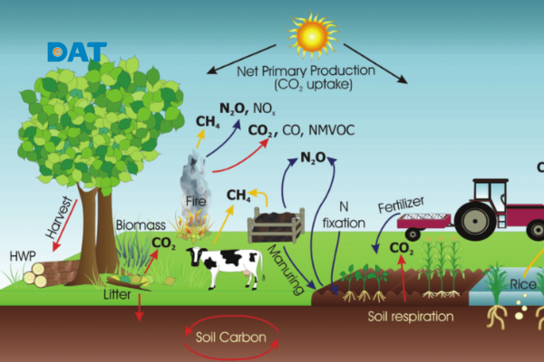 Hệ số phát thải khí nhà kính – sơ đồ các nguồn phát thải và hấp thụ theo IPCC.