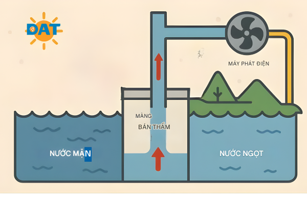 Sơ đồ khai thác năng lượng thẩm thấu từ nước mặn và nước ngọt – ứng dụng khai thác năng lượng đại dương bền vững.