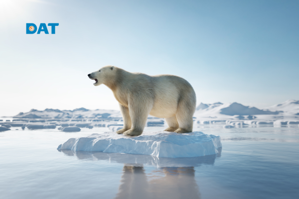 Băng tan ở hai cực và nước biển dâng bao phủ vùng ven biển