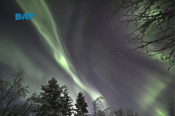 Cực quang màu xanh xuất hiện phía trên rừng tuyết, liên hệ hiện tượng âm thanh cực quang trong điều kiện địa từ đặc biệt.