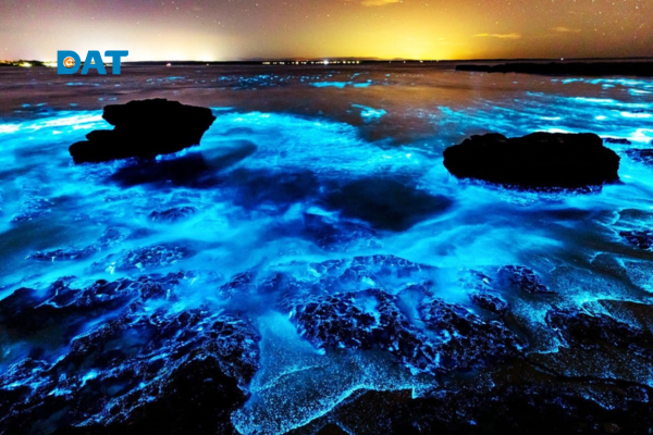 Những ứng dụng quan trọng của phát quang trong y tế và kỹ thuật