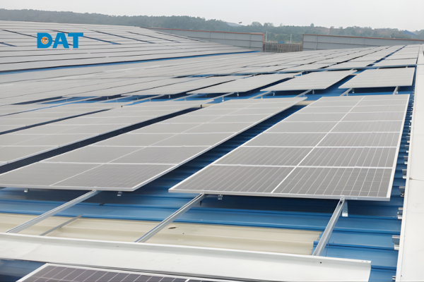 Mái tôn xưởng gỗ rộng lớn được phủ kín bởi các tấm pin năng lượng mặt trời