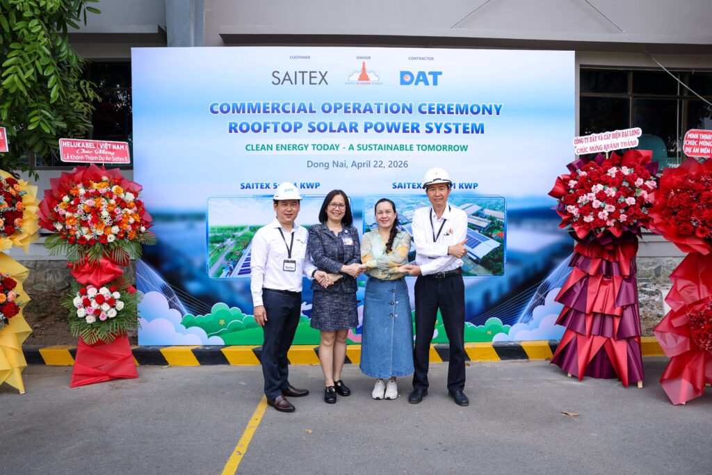 Saitex 6