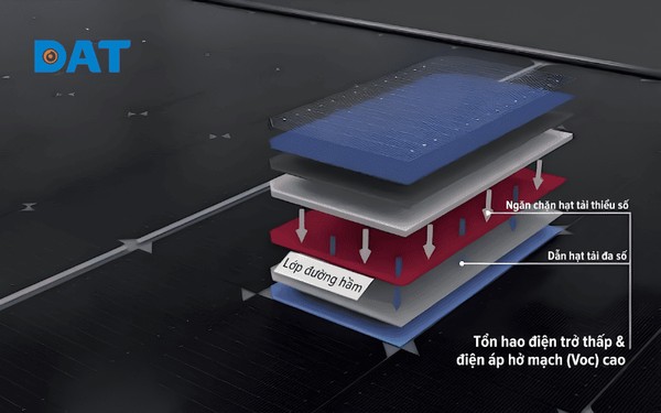 Cấu trúc tế bào quang điện TOPCon: Sự kết hợp giữa phiến silicon N-type và lớp oxit thụ động siêu mỏng.