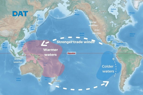 Cơ chế hình thành El Nino khi gió tín phong suy yếu, ngăn cản dòng nước lạnh giàu dinh dưỡng trồi lên từ đáy biển.