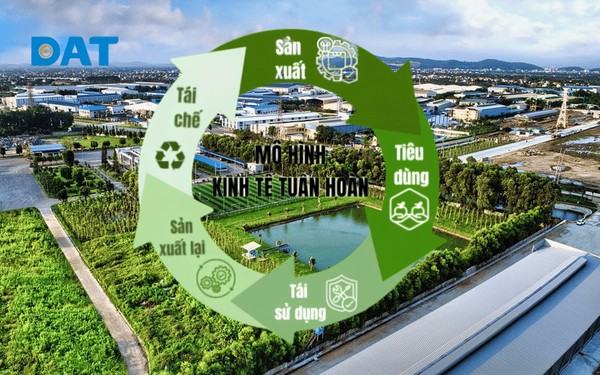 Mô hình sản xuất tuần hoàn giảm tiêu tốn năng lượng và phát thải carbon.