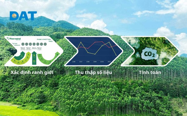 Quy trình 3 bước tính toán dấu chân carbon chuẩn ISO 14064-1.