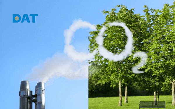 Trạng thái cân bằng Net Zero.