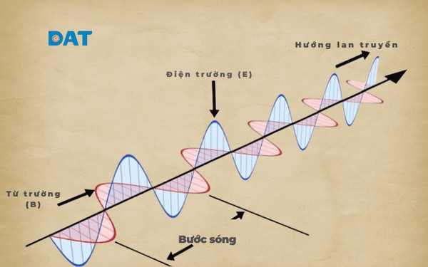Mô phỏng sóng điện từ