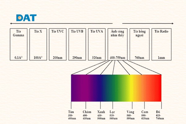 Phổ ánh sáng khả kiến của mắt người trải dài từ khoảng 380 nm đến 760 nm với các màu sắc khác nhau.