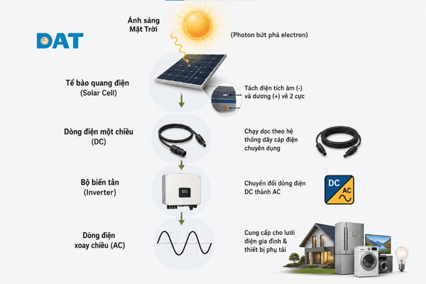 Sơ đồ lưu chuyển năng lượng